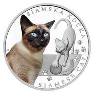 Stříbrná mince Plemena koček - Siamská kočka proof (ČM 2024) 