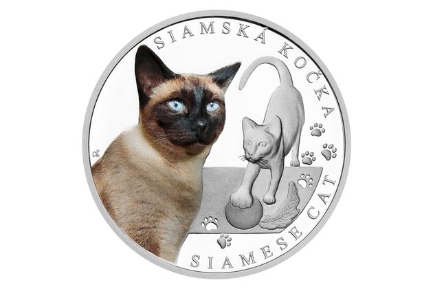 Stříbrná mince Plemena koček - Siamská kočka proof (ČM 2024) 
